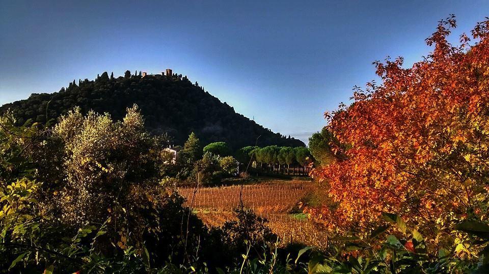 Podere L'Olmaia 마르실리아나 외부 사진